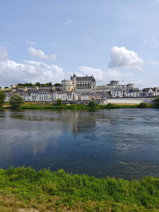 Le Nid De L'Ile Villa Amboise Exterior photo